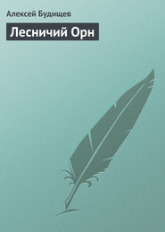 бесплатно читать книгу Лесничий Орн автора Алексей Будищев