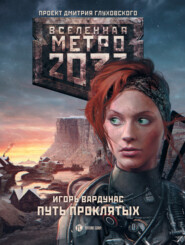 бесплатно читать книгу Метро 2033: Путь проклятых автора Игорь Вардунас