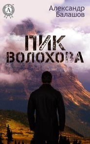 бесплатно читать книгу ПИК ВОЛОХОВА автора Александр Балашов