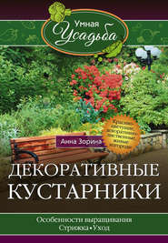 бесплатно читать книгу Декоративные кустарники автора Анна Зорина