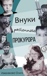 бесплатно читать книгу Внуки районного прокурора автора Ольга Иженякова