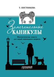 бесплатно читать книгу Замечательные каникулы автора Татьяна Постникова