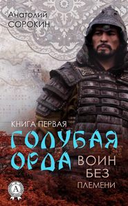 бесплатно читать книгу Воин без племени автора Анатолий Сорокин