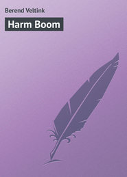 бесплатно читать книгу Harm Boom автора Berend Veltink