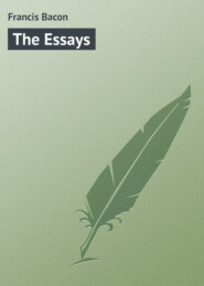 бесплатно читать книгу The Essays автора Francis Bacon