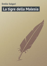 бесплатно читать книгу La tigre della Malesia автора Emilio Salgari