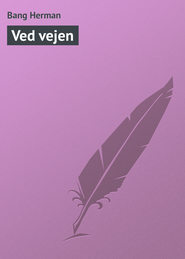 бесплатно читать книгу Ved vejen автора Bang Herman