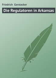 бесплатно читать книгу Die Regulatoren in Arkansas автора Friedrich Gerstacker