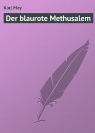 бесплатно читать книгу Der blaurote Methusalem автора Karl May