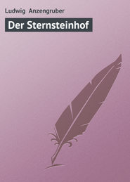 бесплатно читать книгу Der Sternsteinhof автора Ludwig Anzengruber
