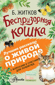бесплатно читать книгу Беспризорная кошка (сборник). С вопросами и ответами для почемучек автора Алексей Мосалов