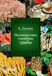 бесплатно читать книгу Малоизвестные съедобные грибы автора Касим Булгаков