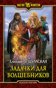 бесплатно читать книгу Задачки для волшебников автора Елизавета Шумская