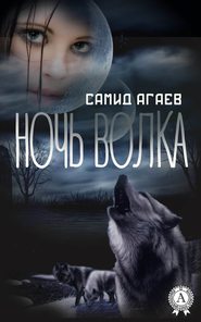 бесплатно читать книгу Ночь Волка автора Самид Агаев