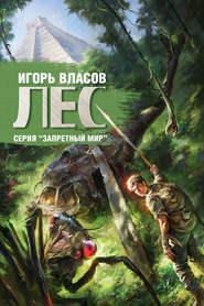 бесплатно читать книгу Лес автора Игорь Власов