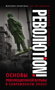 бесплатно читать книгу Революtion! Основы революционной борьбы в современную эпоху автора Валерий Соловей