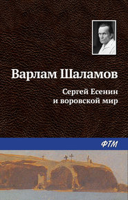 бесплатно читать книгу Сергей Есенин и воровской мир автора Варлам Шаламов