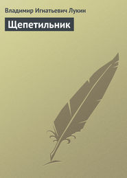 бесплатно читать книгу Щепетильник автора Владимир Лукин