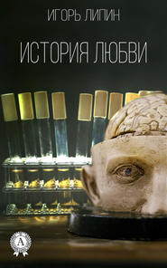 бесплатно читать книгу История любви автора Игорь Липин