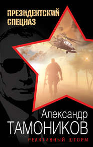 бесплатно читать книгу Реактивный шторм автора Александр Тамоников