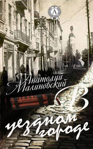 бесплатно читать книгу В уездном городе автора Анатолий Малиновский