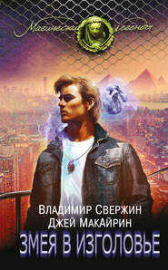 бесплатно читать книгу Змея в изголовье автора Владимир Свержин