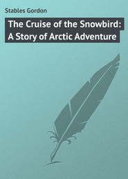 бесплатно читать книгу The Cruise of the Snowbird: A Story of Arctic Adventure автора Gordon Stables
