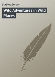 бесплатно читать книгу Wild Adventures in Wild Places автора Gordon Stables
