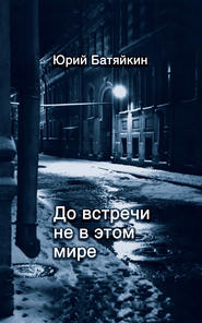 бесплатно читать книгу До встречи не в этом мире автора Юрий Батяйкин