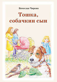 бесплатно читать книгу Тошка, собачкин сын автора Вячеслав Чиркин
