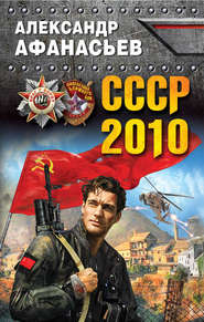 бесплатно читать книгу СССР-2010 автора Александр Афанасьев