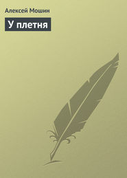 бесплатно читать книгу У плетня автора Алексей Мошин
