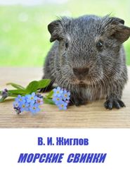 бесплатно читать книгу Морские свинки автора В. Жиглов