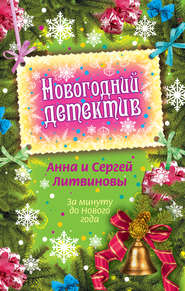 бесплатно читать книгу За минуту до Нового года (сборник) автора Анна и Сергей Литвиновы