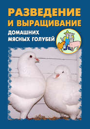 бесплатно читать книгу Разведение и выращивание домашних мясных голубей автора Александр Ханников