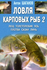 бесплатно читать книгу Ловля карповых рыб – 2 автора Антон Шаганов