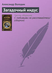 бесплатно читать книгу Загадочный индус автора Александр Володин