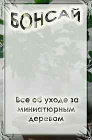 бесплатно читать книгу Все об уходе за миниатюрным деревом автора Илья Мельников