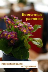 бесплатно читать книгу Комнатные растения. Классификация и строение автора Илья Мельников