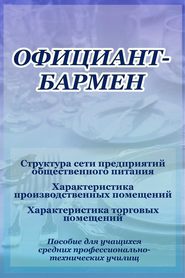 бесплатно читать книгу Структура сети предприятий общественного питания автора Илья Мельников