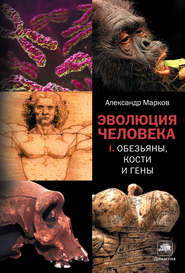 бесплатно читать книгу Обезьяны, кости и гены автора Александр Марков