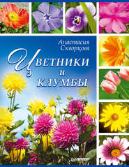 бесплатно читать книгу Цветники и клумбы автора Анастасия Скворцова
