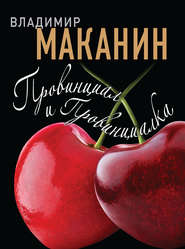 бесплатно читать книгу Провинциал и Провинциалка автора Владимир Маканин