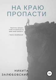 бесплатно читать книгу На краю пропасти автора Никита Залюбовский