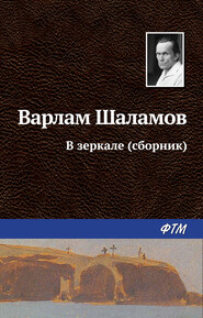 бесплатно читать книгу В зеркале (сборник) автора Варлам Шаламов