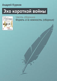 бесплатно читать книгу Эхо короткой войны автора Андрей Курков