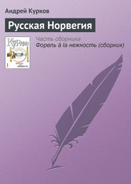 бесплатно читать книгу Русская Норвегия автора Андрей Курков