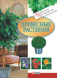 бесплатно читать книгу Древесные растения автора Мария Згурская