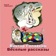 бесплатно читать книгу Веселые рассказы автора Виктор Голявкин