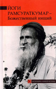 бесплатно читать книгу Йоги Рамсураткумар – Божественный нищий автора Йоги Рамсураткумар